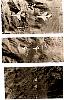scan2.jpg